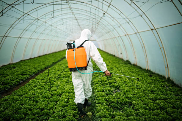 Best Commercial Pest Control Services  in Au Sable, MI