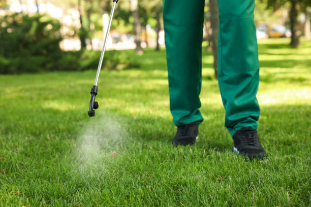 Best Residential Pest Control  in Au Sable, MI