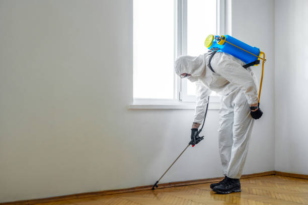 Best Affordable Pest Control Services  in Au Sable, MI