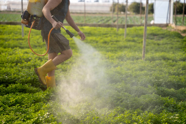 Best Best Pest Control Companies  in Au Sable, MI